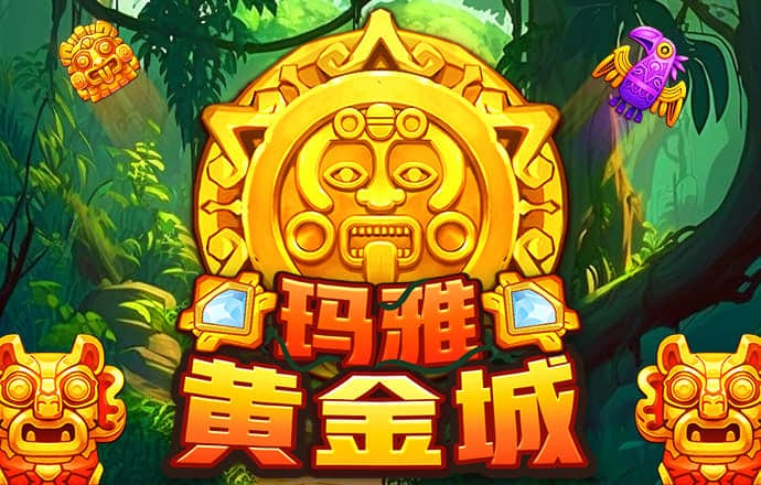 五五世纪官网下载